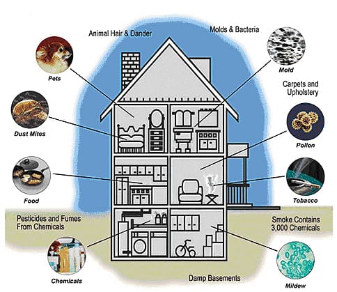 indoor air quality2