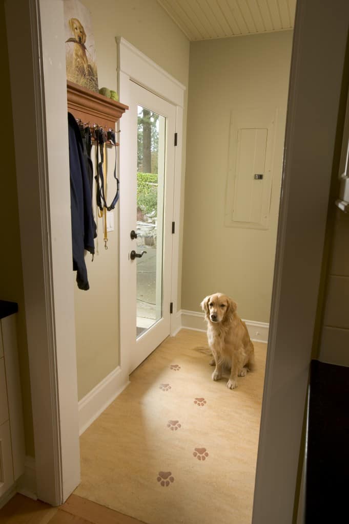 Paw-print motif floor decoration