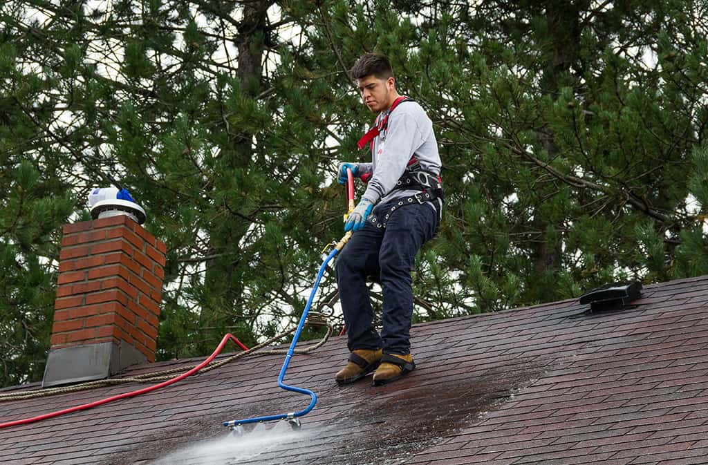 Neil Kelly: handyman in Bend, Eugene, and Portland for roof cleaning and other household tasks