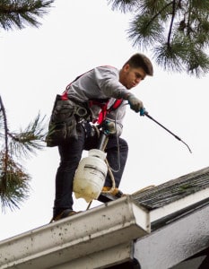 Roof maintenance