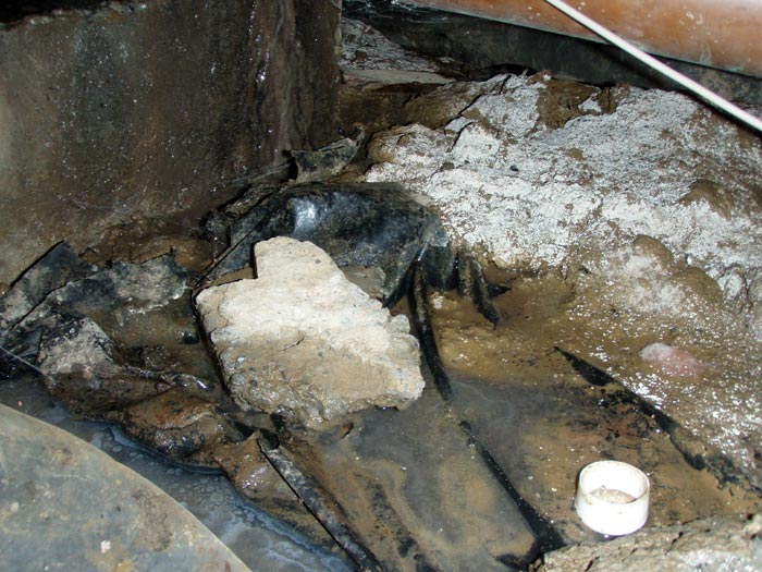Mold on a dirt-floor crawlspace, a common source of indoor air quality problems