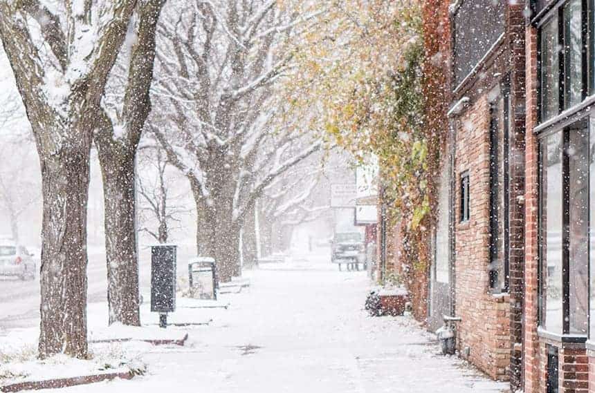 light snow covers a tree lined sidewalk