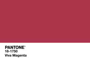 Pantone’s 2023 Color of the Year, Viva Magenta.