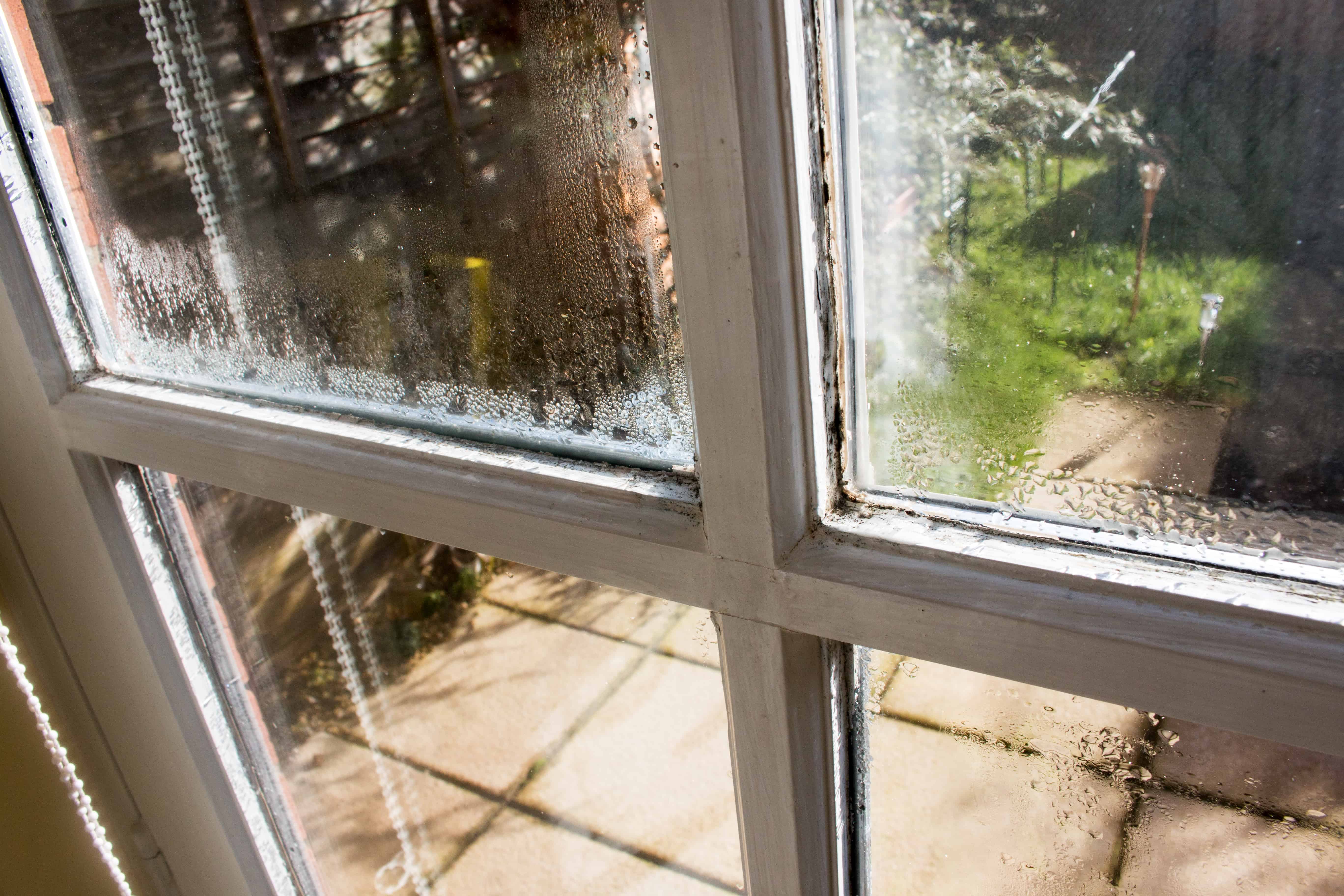 Moisture Build Up Leads to Mold and Mildew on Window