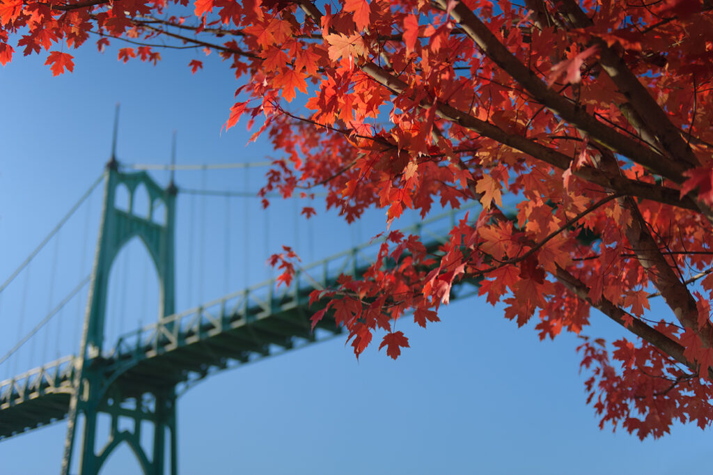 Fall color means winter isn't far behind.