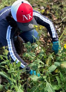 Neil Kelly volunteer cutting weeds on B Corp Day Of Service