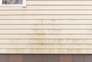 House siding with signs of mold growth.