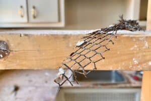 Broken wire mesh on wooden beam with dust and debris in a home renovation.