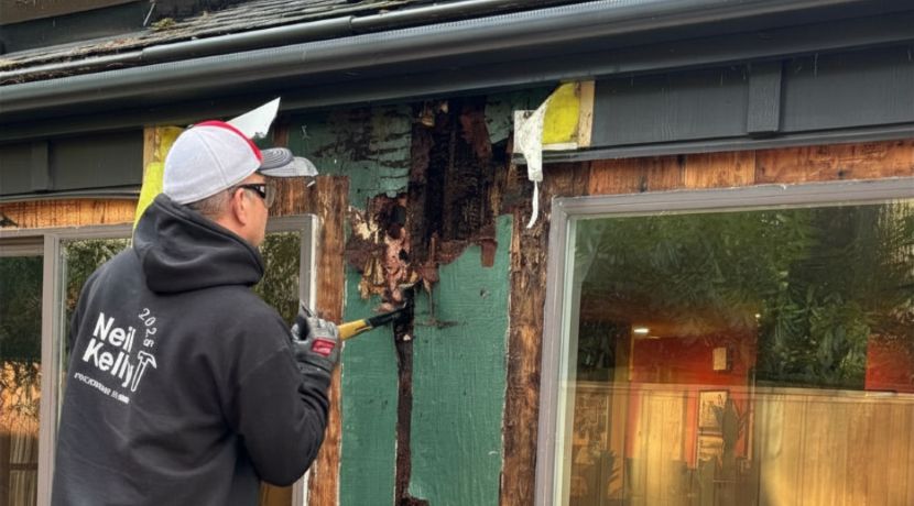 Neil Kelly handyman removing dry rot damaged siding and trim around an exterior window