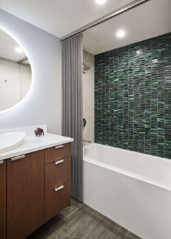 Portland Pearl District Guest Bath Remodel
