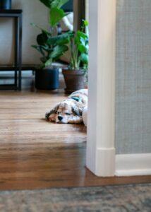White doorframe trim that connects to white floorboards.