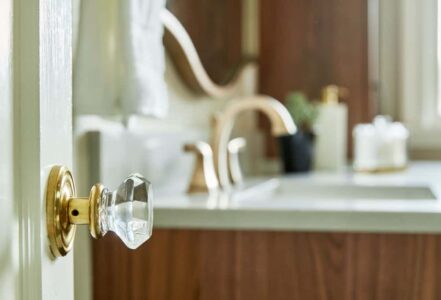 Emtek doorknob in Old Town Clear with brass regular rosette.